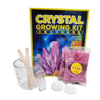 Loughb Crystal Growing Kit - Assorted