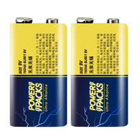 Power Packs碱性电池9伏2粒装