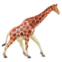 Recur Giraffa Camelopardalis