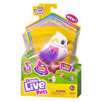 Little Live Pets Bird S11 Single Pack - Assorted