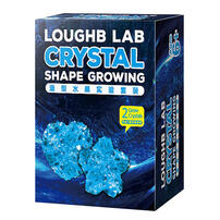 Loughb乐可倍造型水晶实验套装-多色 随机发货